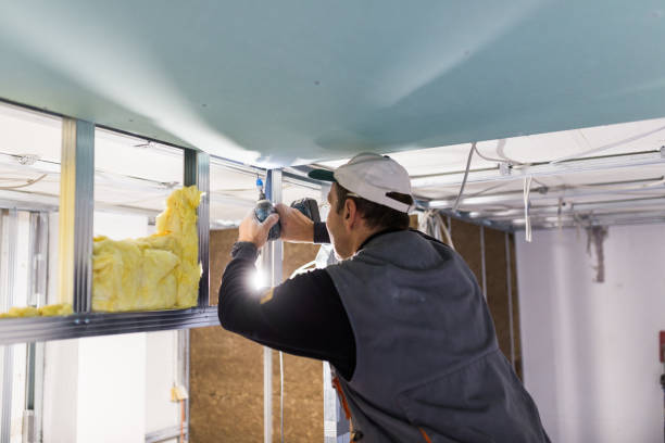 Best Insulation Installation Services in Carpendale, WV