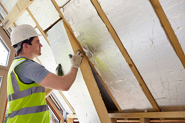Best Commercial Insulation in Carpendale, WV