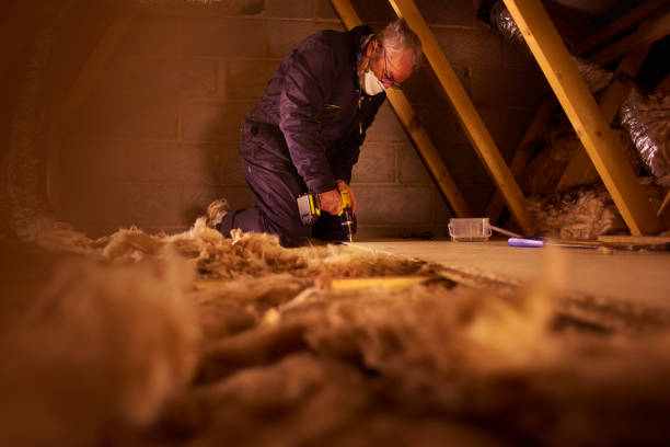 Best Insulation Maintenance and Repair in Carpendale, WV